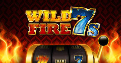 Chanz wild fire 7
